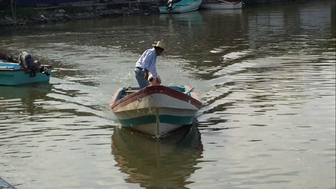 Bajos niveles de Laguna, afecta el sector pesquero