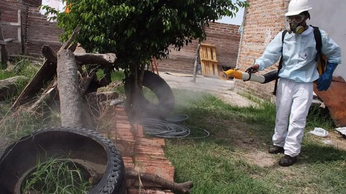 Tamaulipas no reporta casos de Zika o Chikungunya