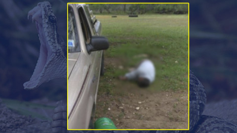 Hombre es hallado sin vida por presunta mordida de cascabel