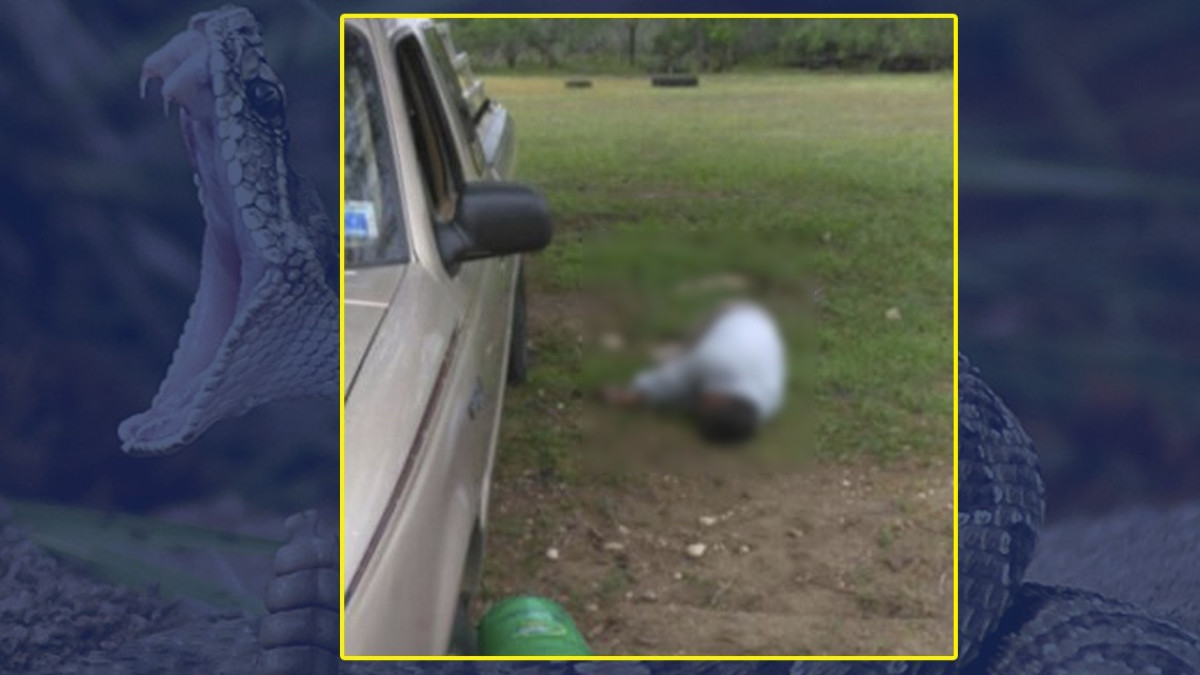 Hombre es hallado sin vida por presunta mordida de cascabel