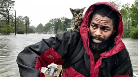 13 muertos tras paso “Florence”