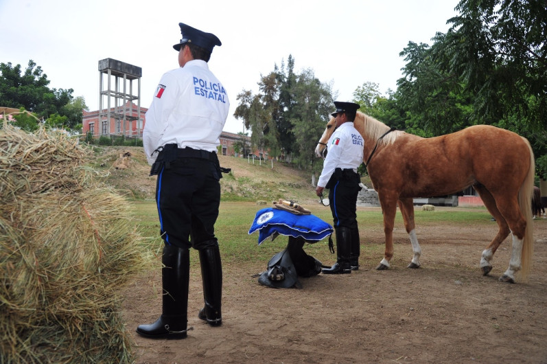 SSP celebra graduación de curso de monta y reconocimiento de equinos