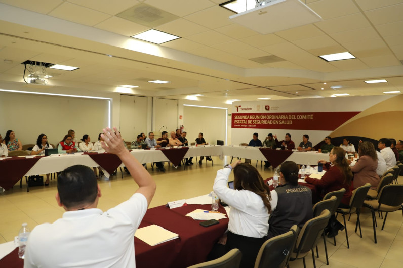 Define Comité Estatal de Seguridad en Salud estrategias para prevenir enfermedades