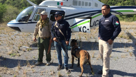 Convocan a comunidad a sumarse en búsqueda de desaparecido