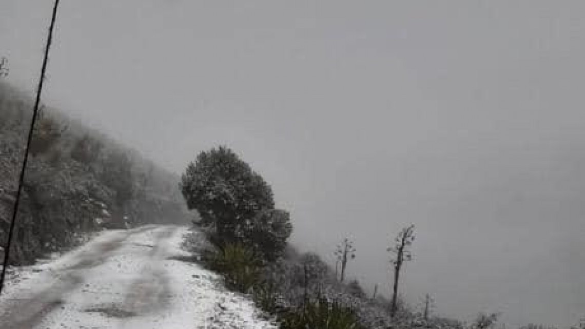 Se registra la primera nevada en Miquihuana