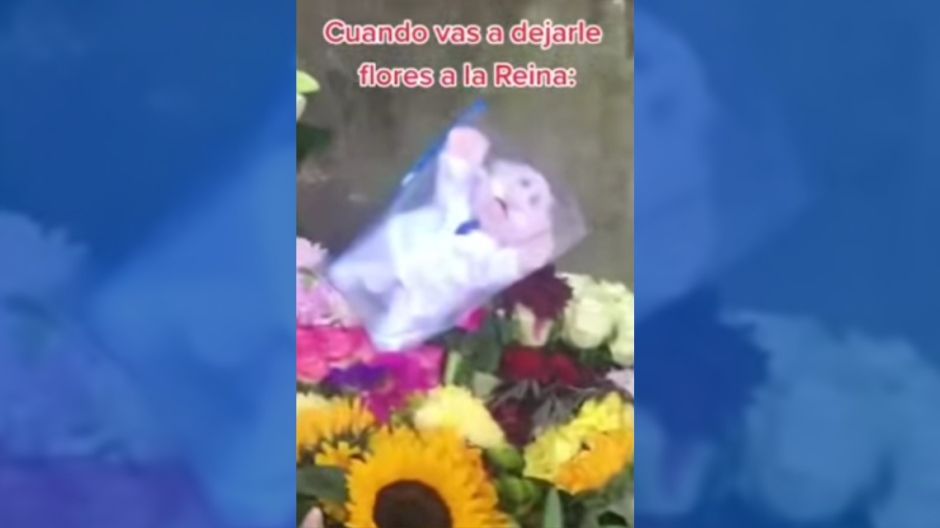 Dejan peluche de Dr. Simi en ofrenda a la Reina Isabel II en Edimburgo