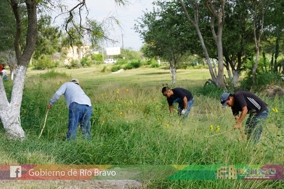 Realizan labores de limpieza en áreas verdes