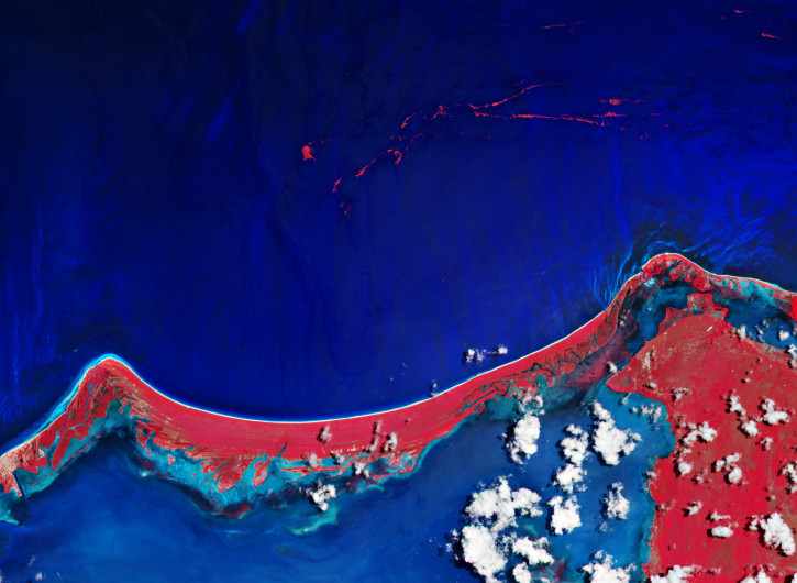 Comparten imagen del sargazo en Quintana Roo tomada desde el espacio