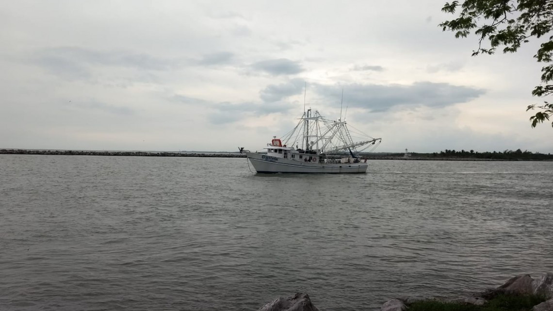 Salen a la mar 200 embarcaciones pesqueras en busca de camarón