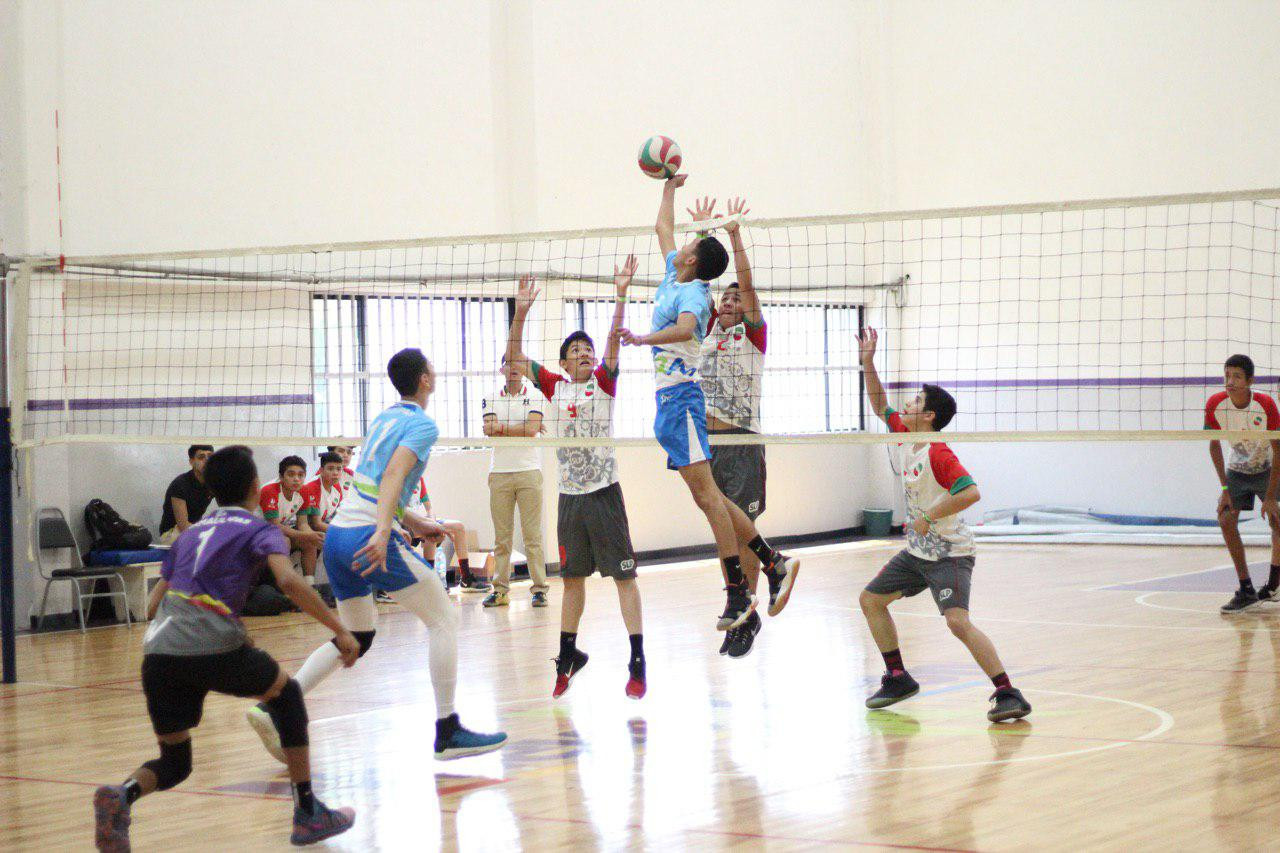 Selección de Voleibol consigue su pase a la Olimpiada Nacional 