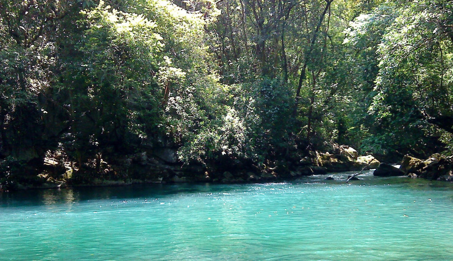 Extranjeros disfrutan de ecoturismo en Tamaulipas
