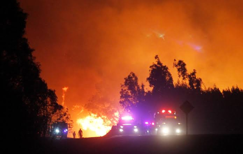 Asciende a 80 número de muertos por incendios en California