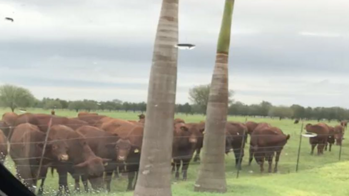 Catean por segunda vez rancho de Eugenio Hernández