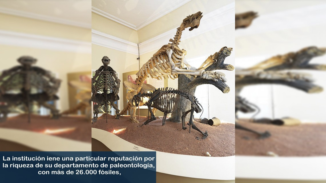 Las tesoros perdidos tras el incendio en el Museo Nacional de Brasil