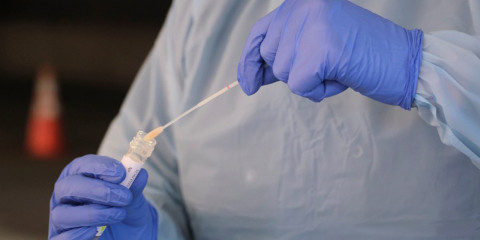 Repite Tamaulipas cifra más alta de contagios en un día, suma 773 casos