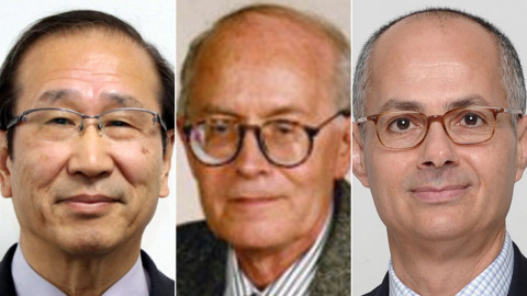 Susumu Kitagawa, Richard Robson y Omar M. Yaghi reciben el Premio Nobel de Química 2025 por revolucionar la arquitectura molecular