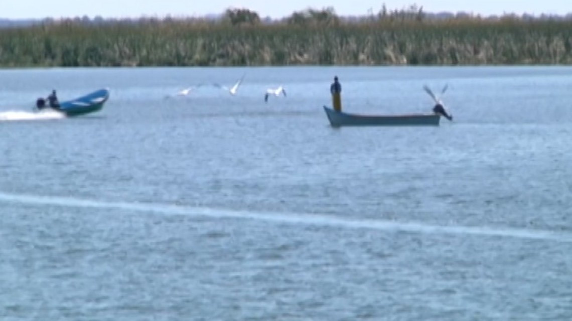 Organizaciones pesqueras piden un mayor control en la captura de especies