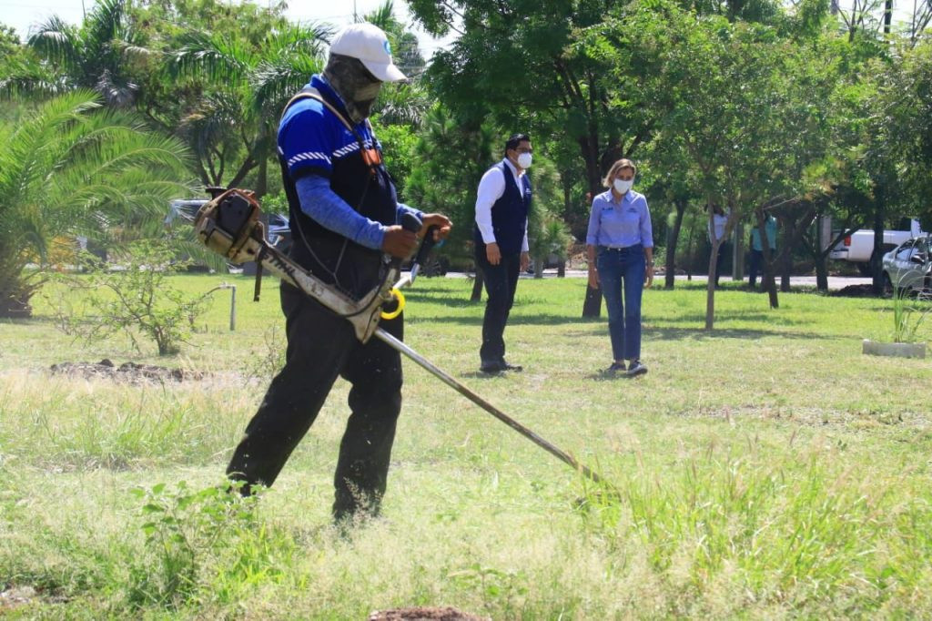 Continúan trabajos de mantenimiento en áreas verdes en Victoria