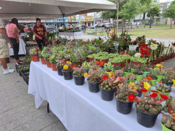Ofrecerán artesanías para el jardín