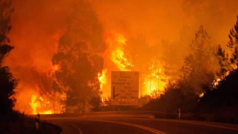 Van 62 muertos por incendio en Portugal