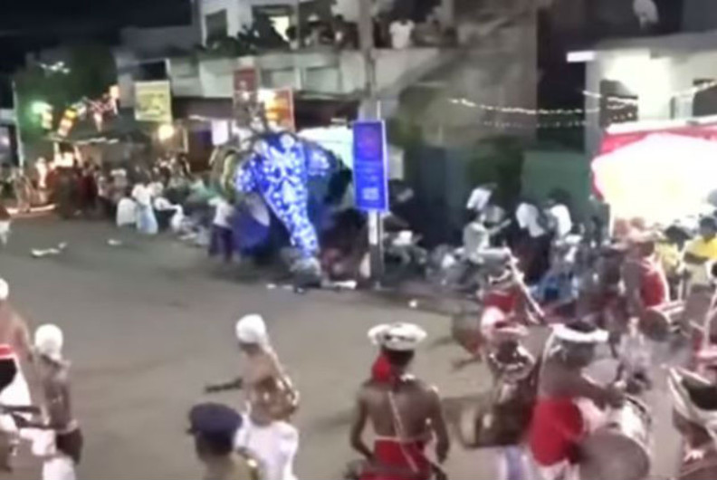 Elefante lesiona a 18 en procesión budista en Sri Lanka