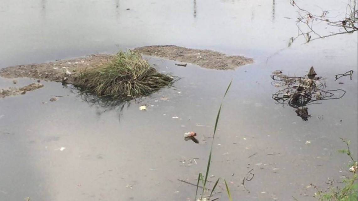 Piden desasolve de vaso captador de aguas negras