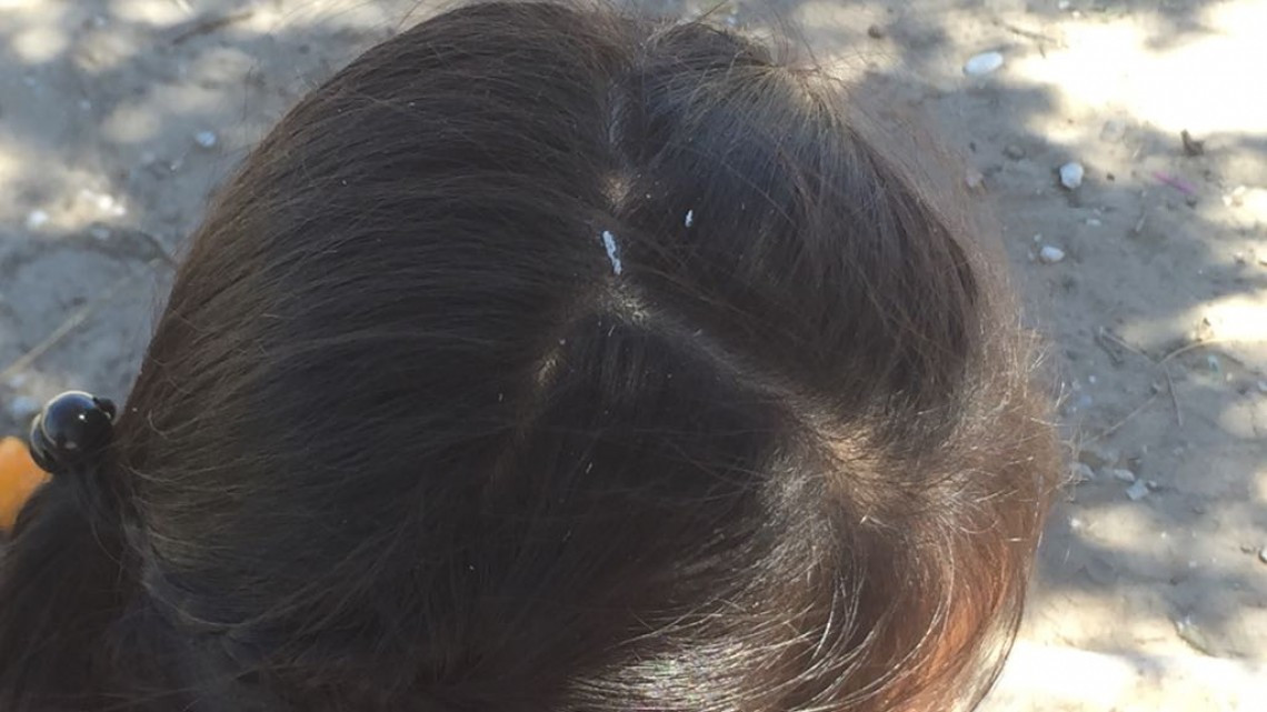 Nube de cenizas invade casas, calles y centros escolares de Altamira     