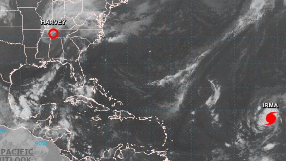 Podría Irma llegar a Tamaulipas a finales de la próximas semana