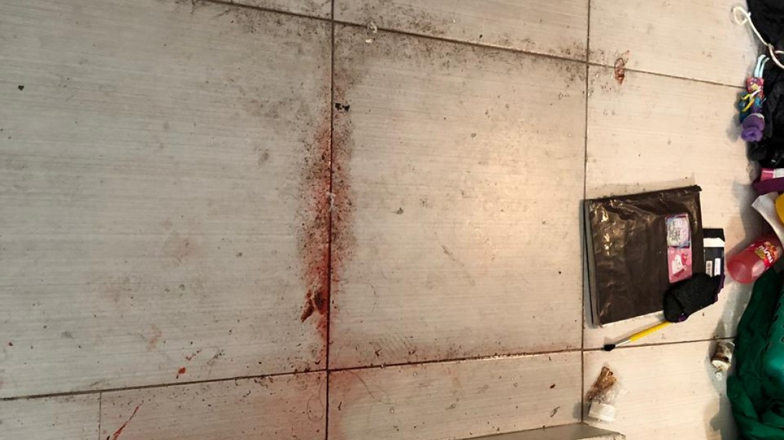 Denuncia propietario de tigre blanco secuestro y abuso de autoridad 