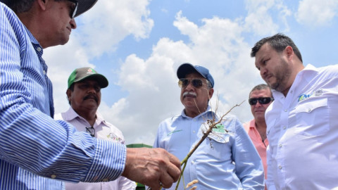 Productores de El Mante son beneficiados con la entrega de semilla de soya