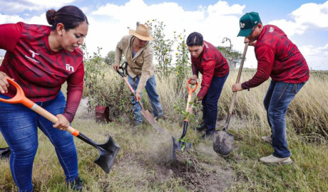 Realiza INJUVE Tamaulipas Segunda Jornada de Reforestación Comunitaria en Valle Hermoso