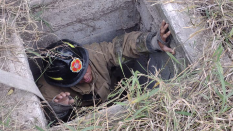 Rescatan a perritos atrapados en una fosa