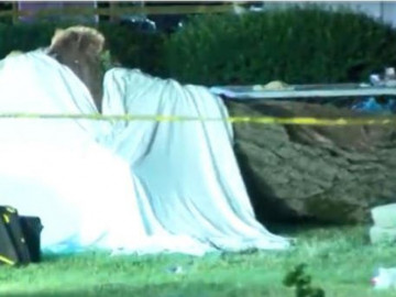 Dos personas mueren al caerles enorme rama