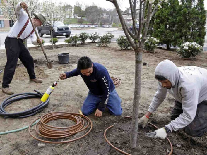 Otorgarán 30.000 visas a trabajadores temporales