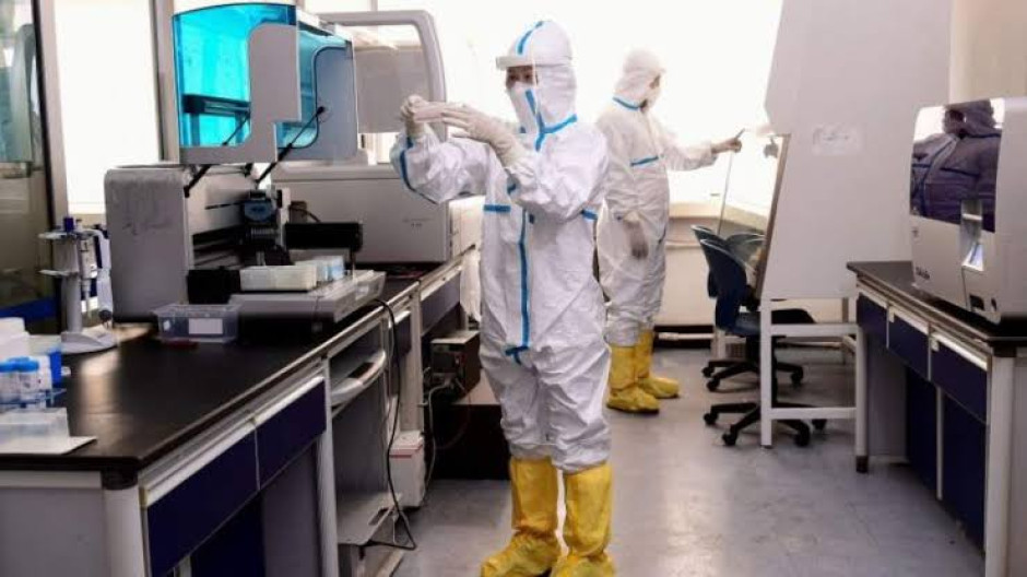 China detecta 35 casos en humanos de un nuevo virus de origen animal