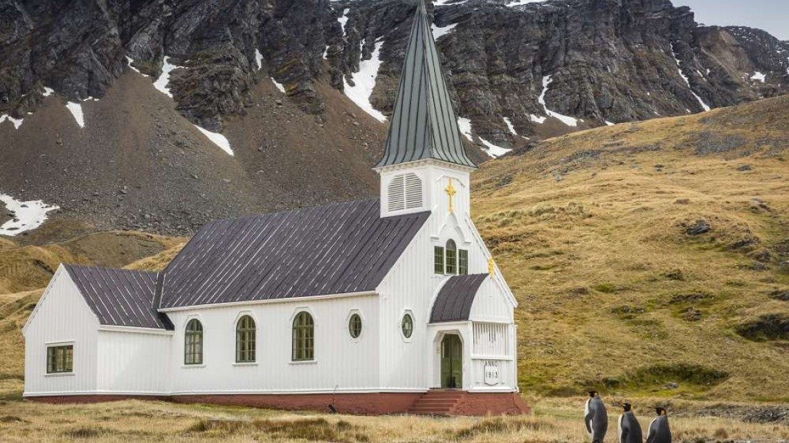 Las 10 fotos graciosas de animales