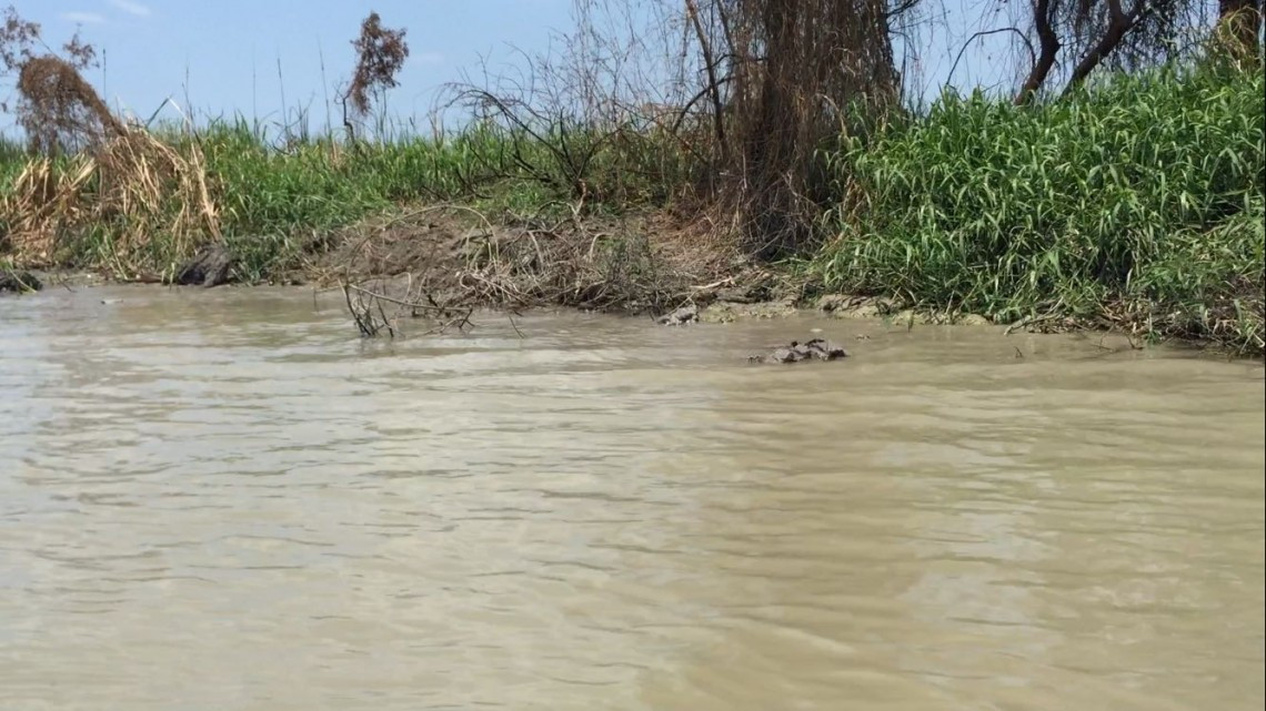 Bajos niveles de Laguna, afecta el sector pesquero