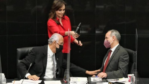 Lily Téllez explota contra López-Gatell durante comparecencia en el Senado 