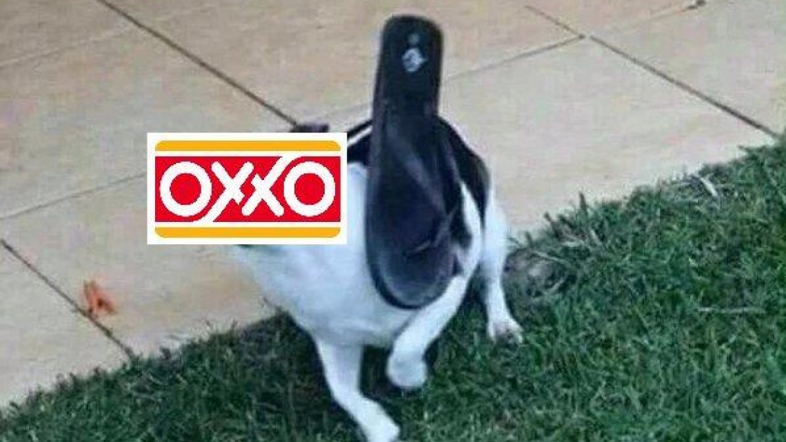 El trolleo de 7-Eleven a Oxxo y los memes