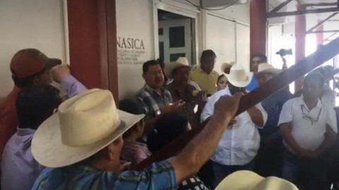 Citricultores de la zona centro se manifiestan por importación de naranja