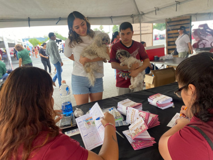 Alistan jornada de esterilización 