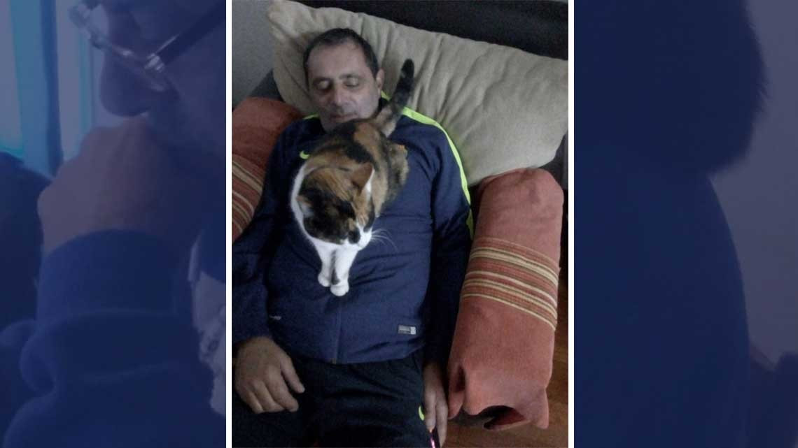 ¡No quiero animales!, días después...