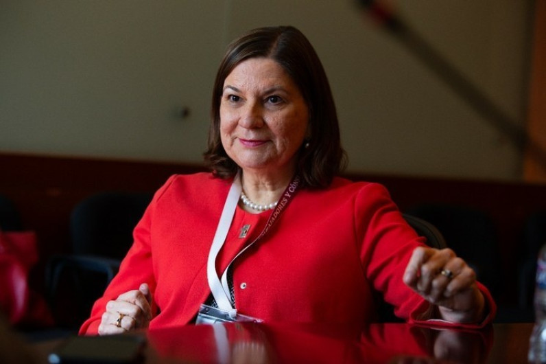Martha Bárcena, Embajadora en Estados Unidos anunció su jubilación