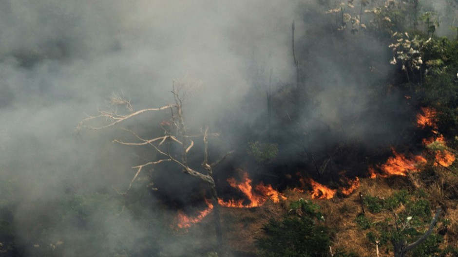 Protestan en ciudades europeas ante los incendios en la Selva del Amazonas