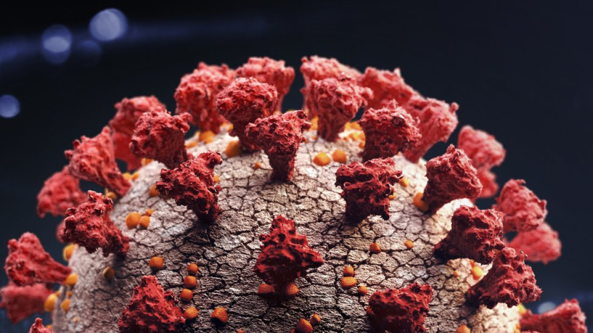 Sin rastro claro el probable origen del COVID-19: OMS