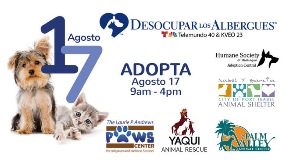 Invitan a adoptar un perrito a bajo costo