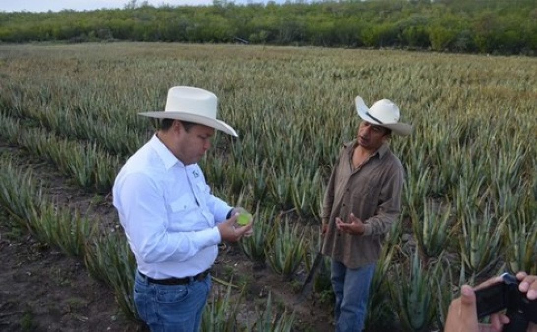 Gobierno del Estado dispersa más de 1.2 mdp  pago de Seguros