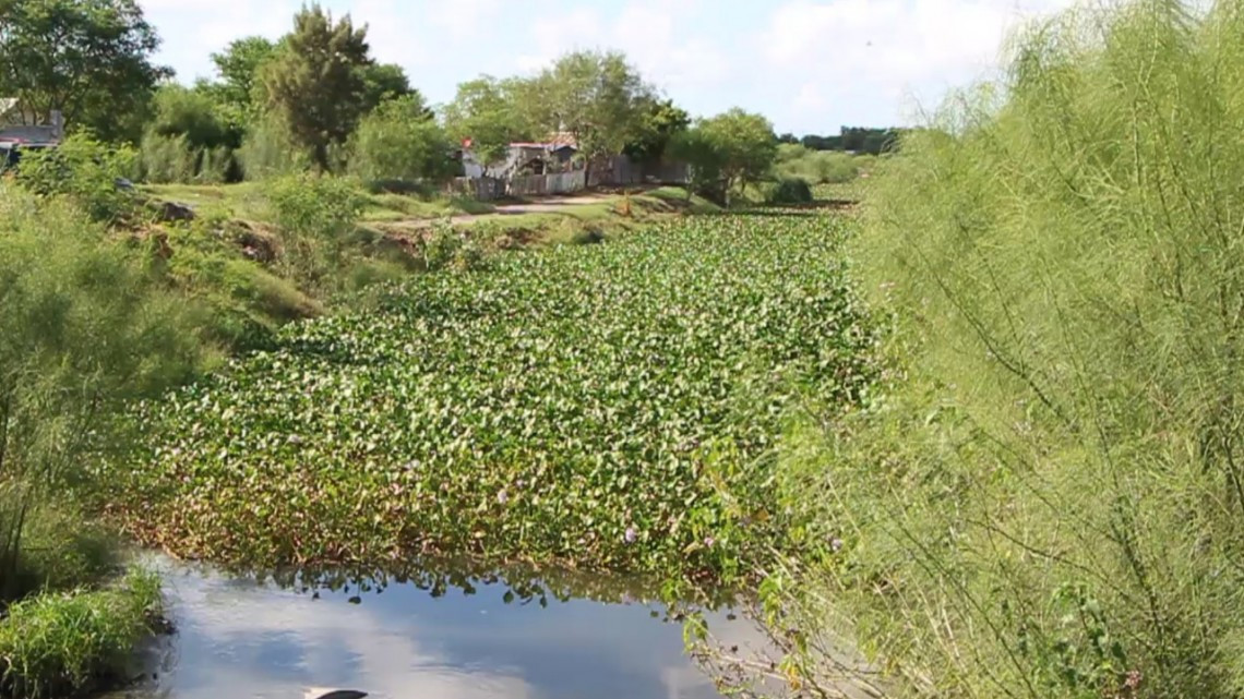 Este lunes Iniciarán los Trabajos preventivos de limpieza en el dren Rio Bravo.