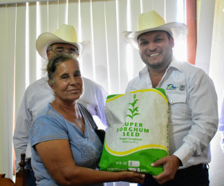 Gobierno del Estado propone el ensilaje y nutrición con forraje de Súper Sorgo