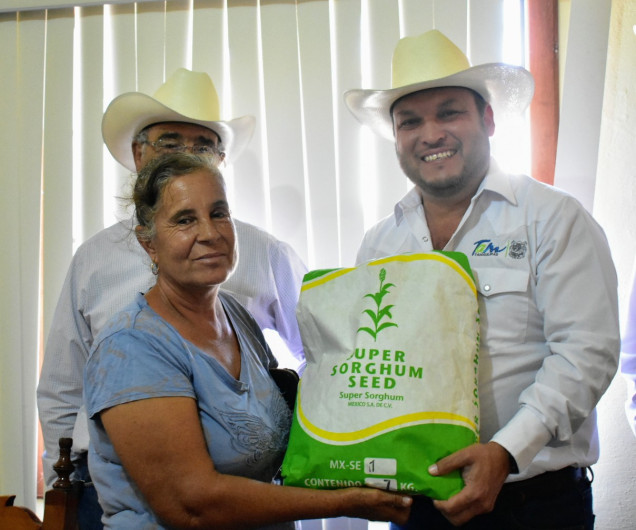 Gobierno del Estado propone el ensilaje y nutrición con forraje de Súper Sorgo